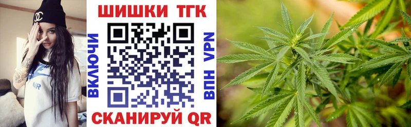 Бошки Шишки план  Лермонтов 